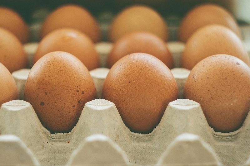 Это стопроцентный фейк, — Жандарбек Бекшин о "пластмассовых яйцах" из Китая